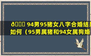 🐕 94男95猪女八字合婚结果如何（95男属猪和94女属狗婚姻相配吗）